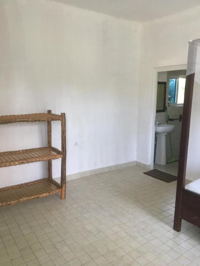 Tayana Place Lägenhet Kizimkazi Exteriör bild